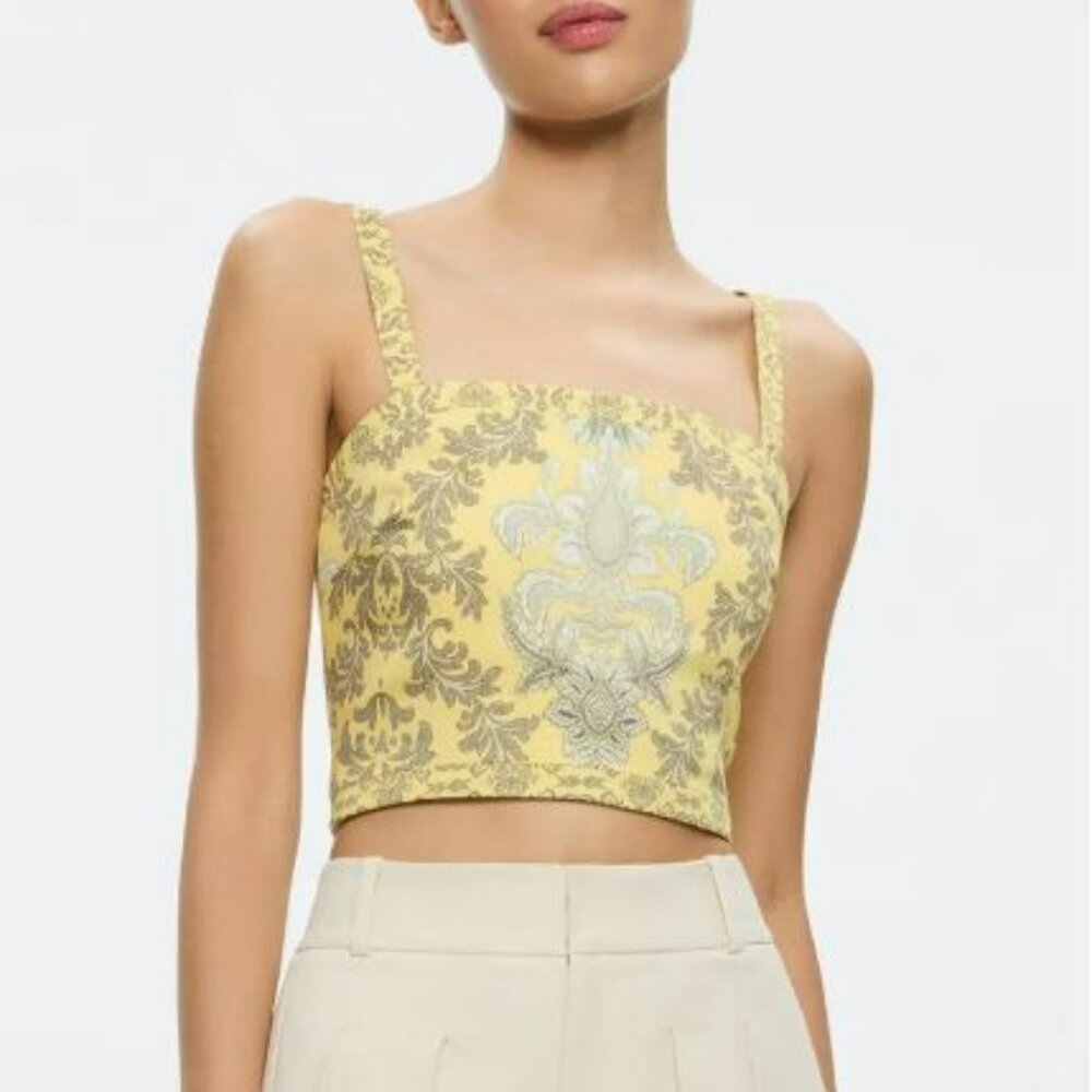 Alice+Olivia Sasha Paisley Lace-Up Crop Top  Sz 0 NWT